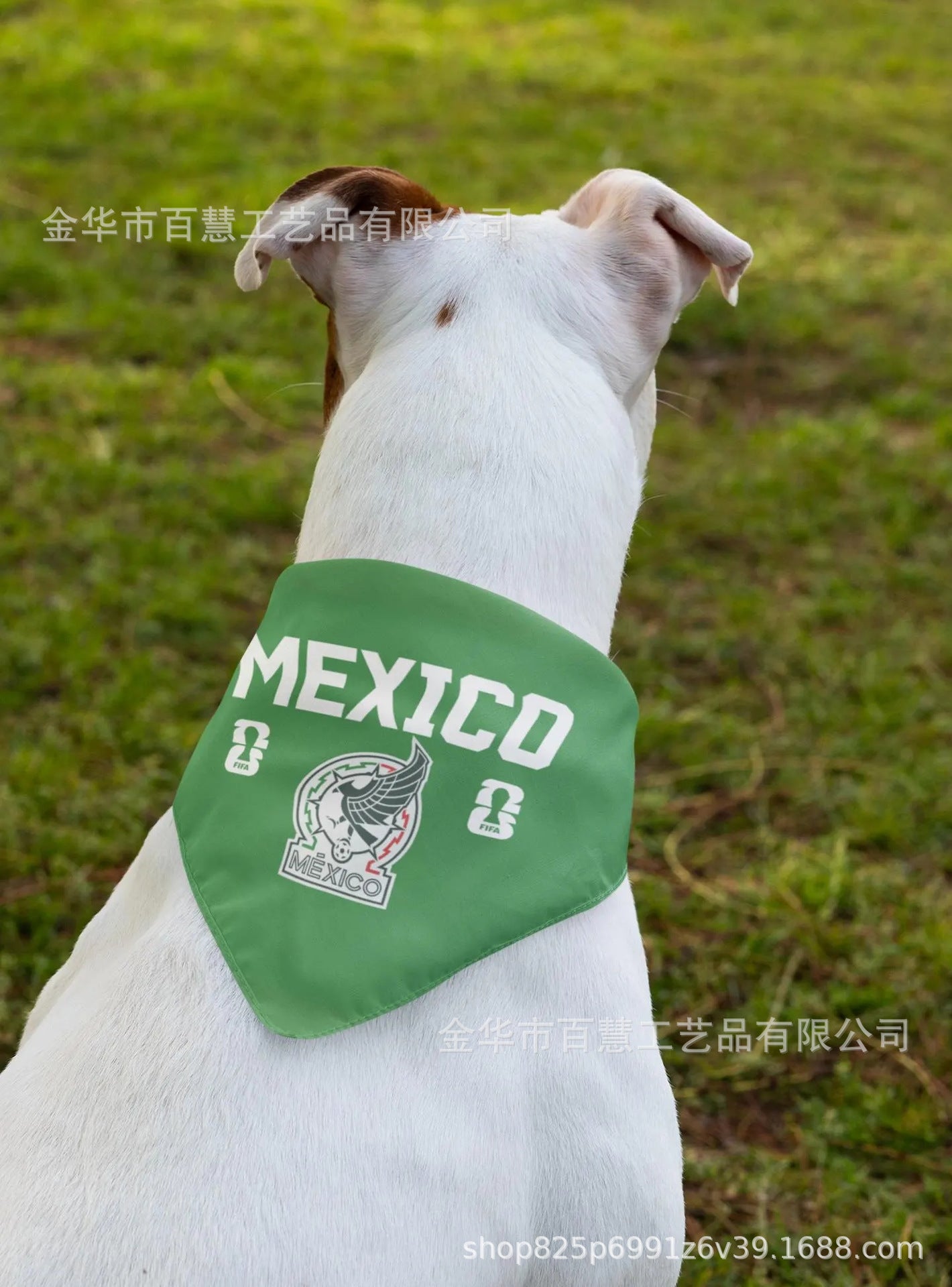 🐕2026 World Cup Pet Bandana & Scarf | Patriotic Dog Apparel