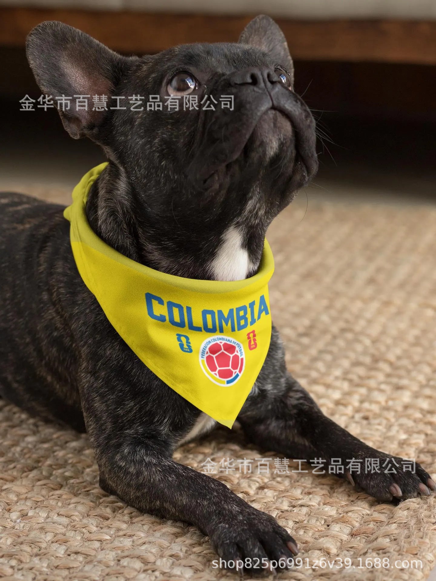 🐕2026 World Cup Pet Bandana & Scarf | Patriotic Dog Apparel