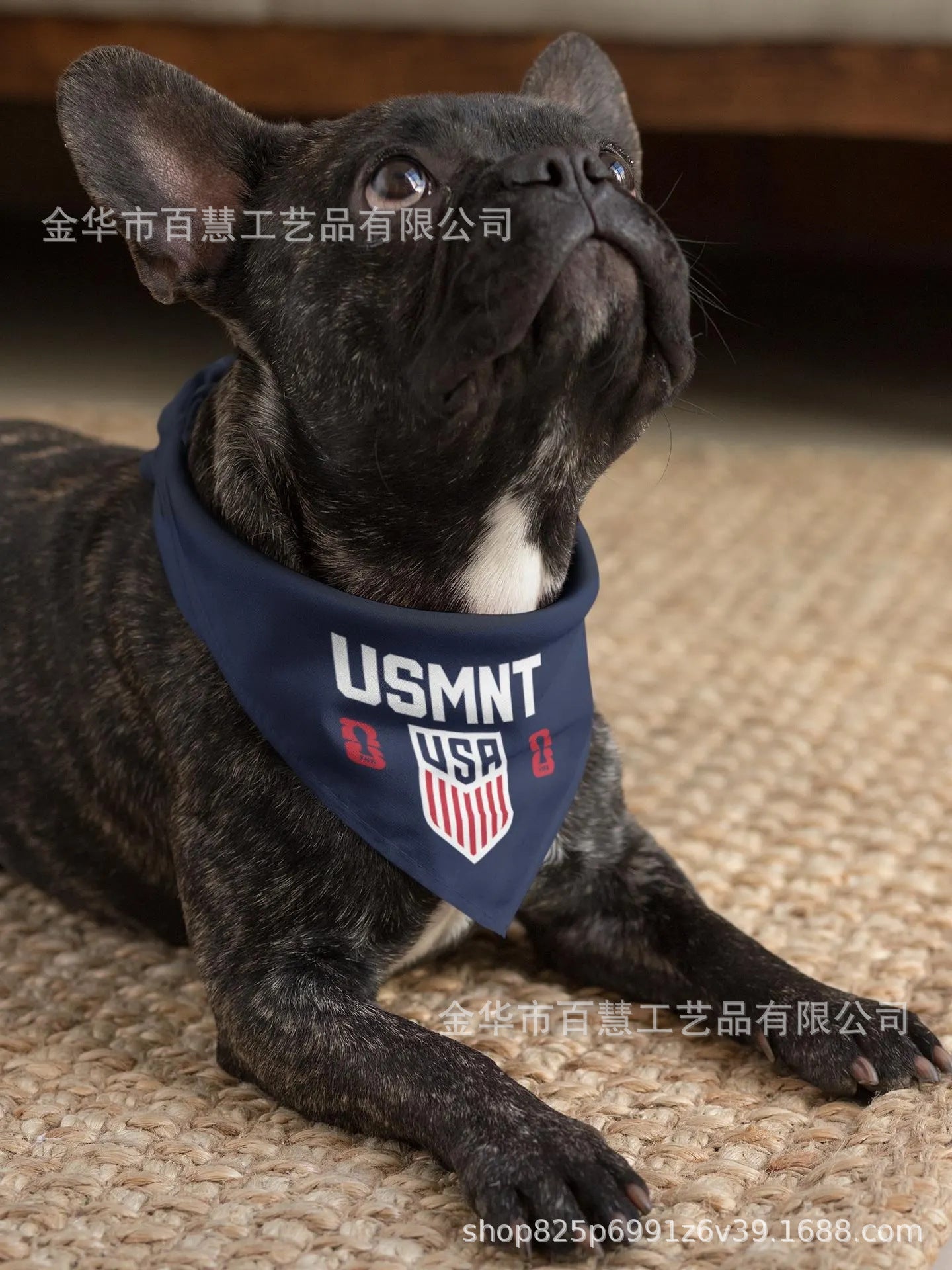 🐕2026 World Cup Pet Bandana & Scarf | Patriotic Dog Apparel