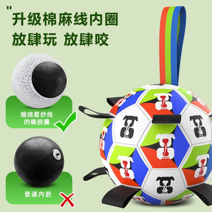 ⚽ 2026 USA World Cup Pet Soccer Toy | Interactive Game Day Fetch Ball 🐾