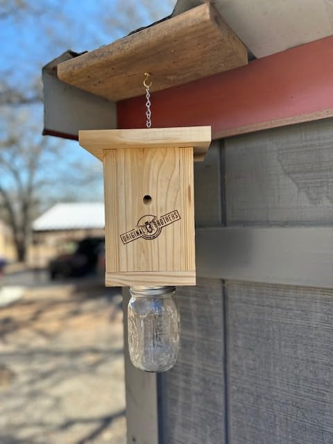 Carpenter Bee Traps – Outdoor Hanging Wood Carpenters Bee Catcher Trap Kit