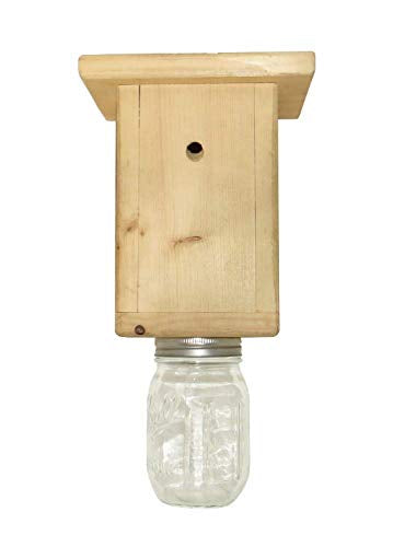 Carpenter Bee Traps – Outdoor Hanging Wood Carpenters Bee Catcher Trap Kit