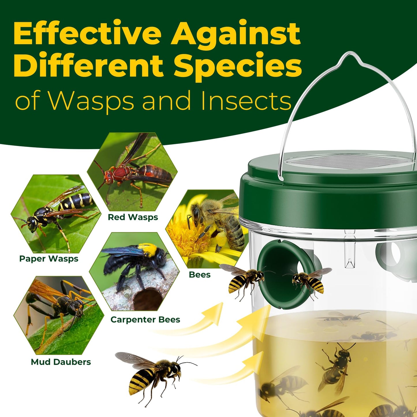 2026 New Upgrade Wasp & Hornet Trap Yellow Jacket Catcher